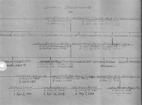 Chanel cleeton perez family tree